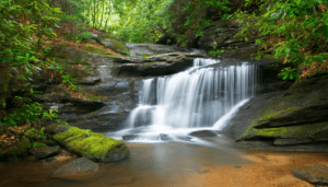 Peaceful forest waterfall surrounded by lush greenery