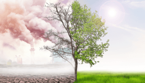 Tree symbolizing environmental contrast: pollution vs green growth