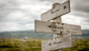 Rustic wooden signs pointing towards body, mind, and soul in natural landscape