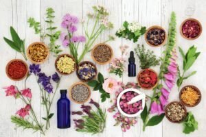 Assortment of dried herbs, flowers, and essential oil bottles on wooden background