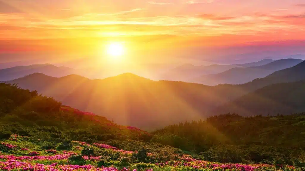 Vibrant sunrise over rolling hills and wildflower meadow