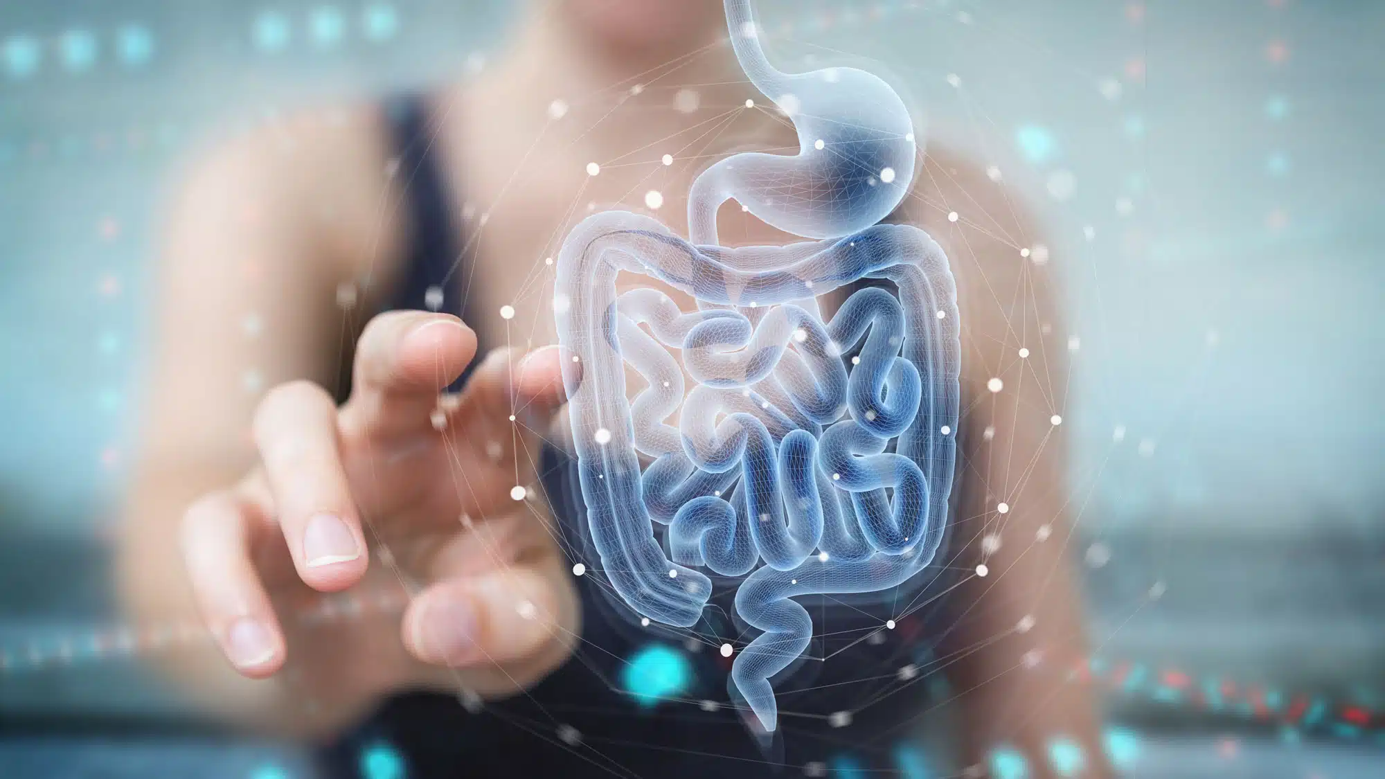 Digital illustration of human digestive system with hand interaction