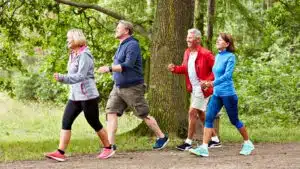 Group of seniors enjoying a brisk walk in a forest