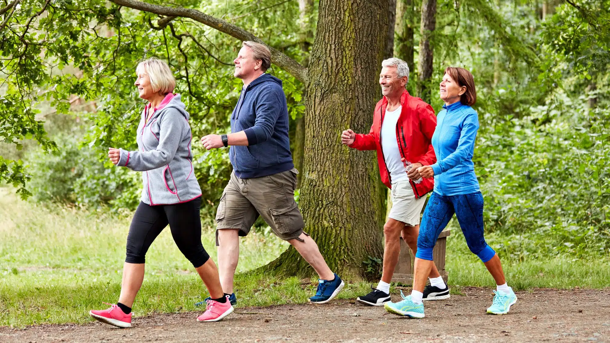 Group of seniors enjoying a brisk walk in a forest