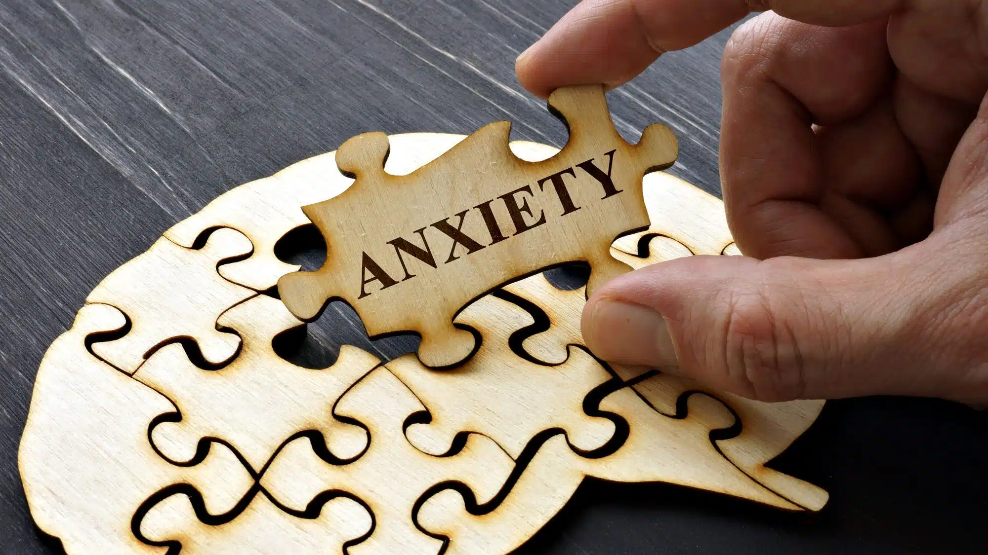 Puzzle piece labeled 'Anxiety' on wooden brain shape