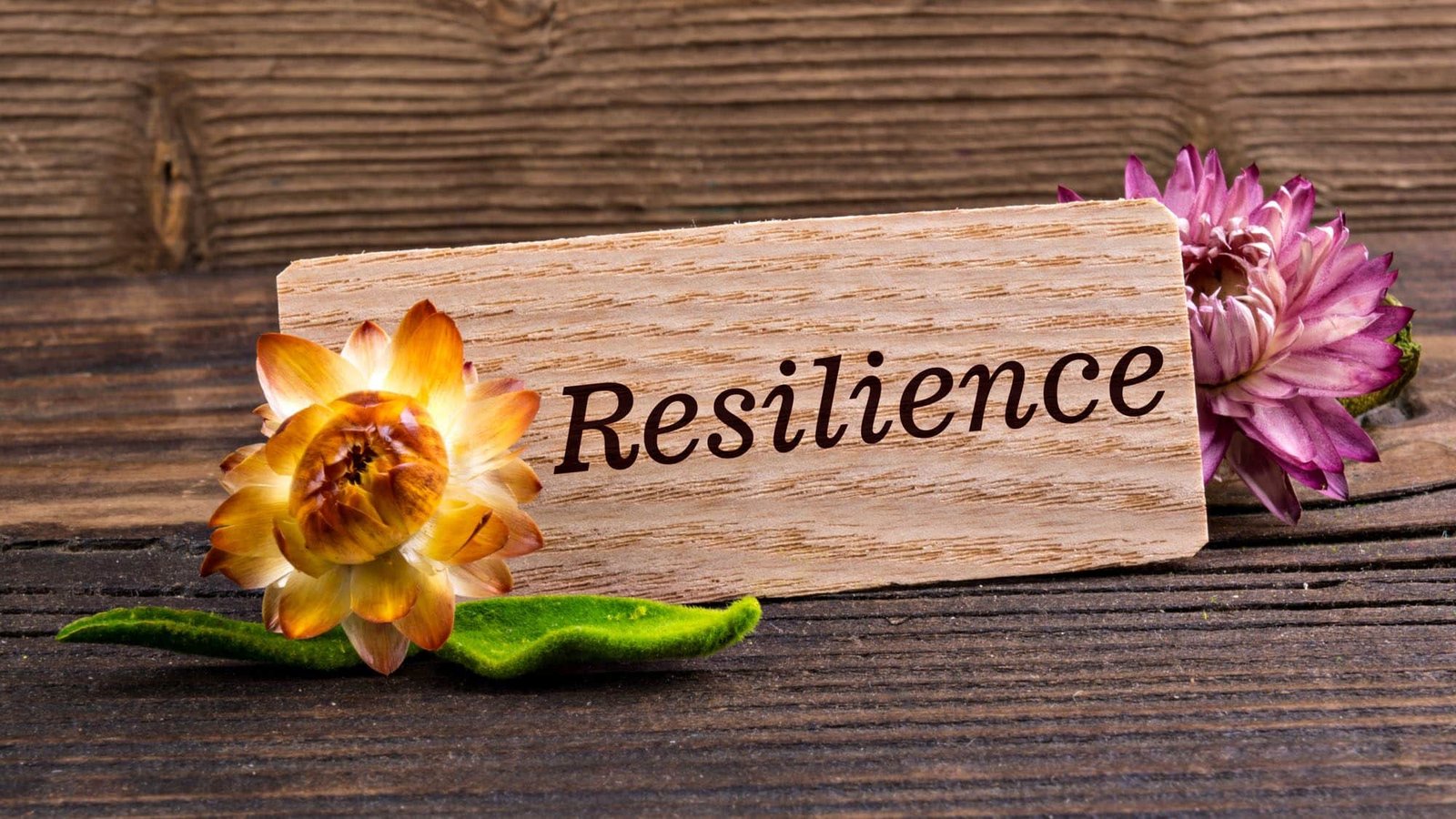 Wooden sign with 'Resilience' and flowers, symbolizing strength and growth