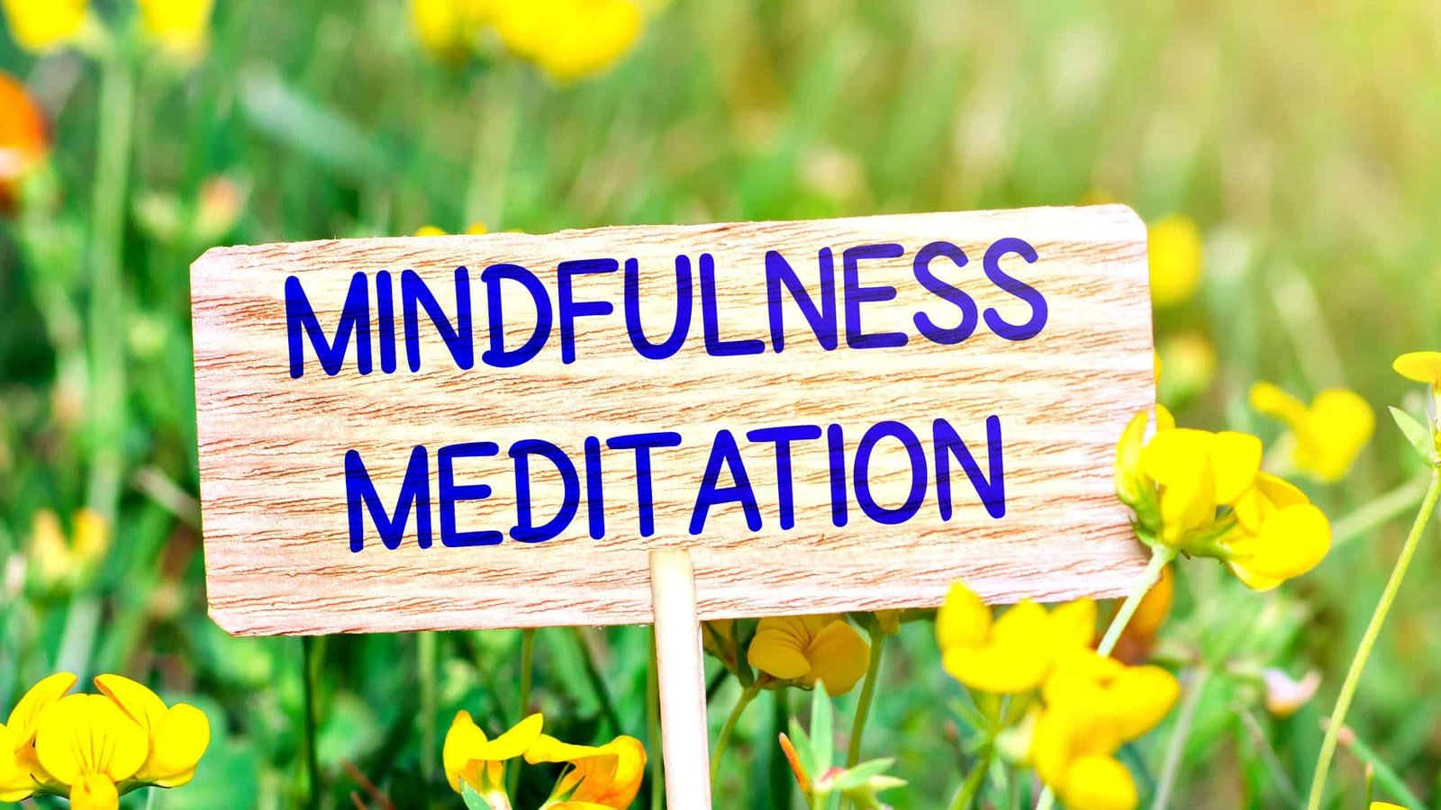 Mindfulness meditation sign in a field of yellow flowers