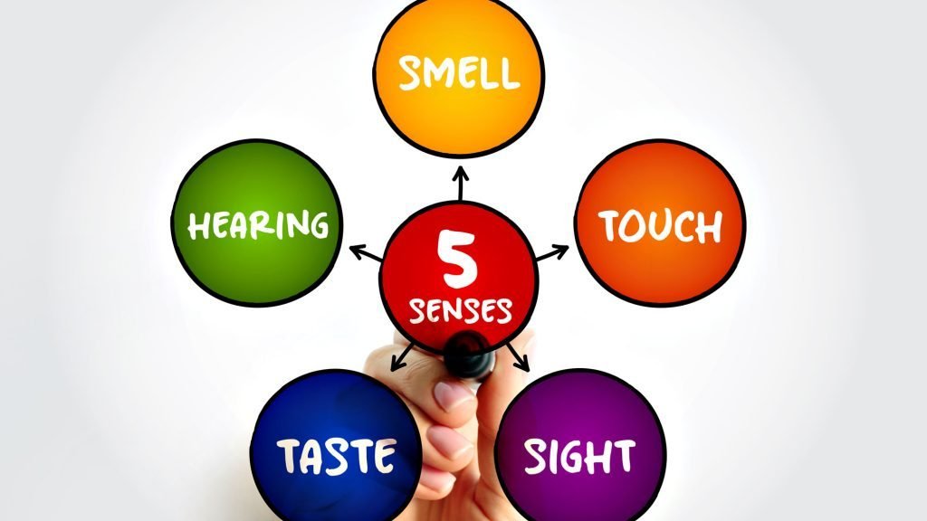 Diagram of the five senses with labelled circles