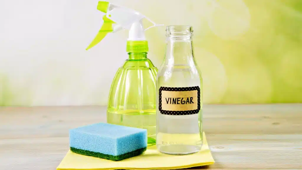 Natural cleaning products with vinegar, spray bottle, sponge on wooden table