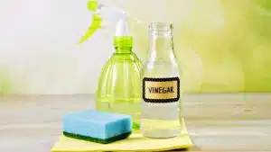 Natural cleaning products with vinegar, spray bottle, sponge on wooden table