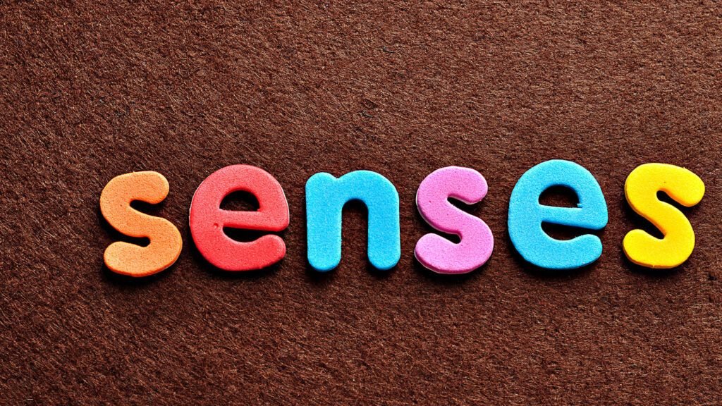 Colourful letters spelling 'senses' on textured brown background