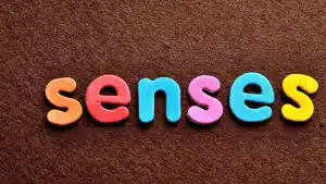 Colourful letters spelling 'senses' on textured brown background