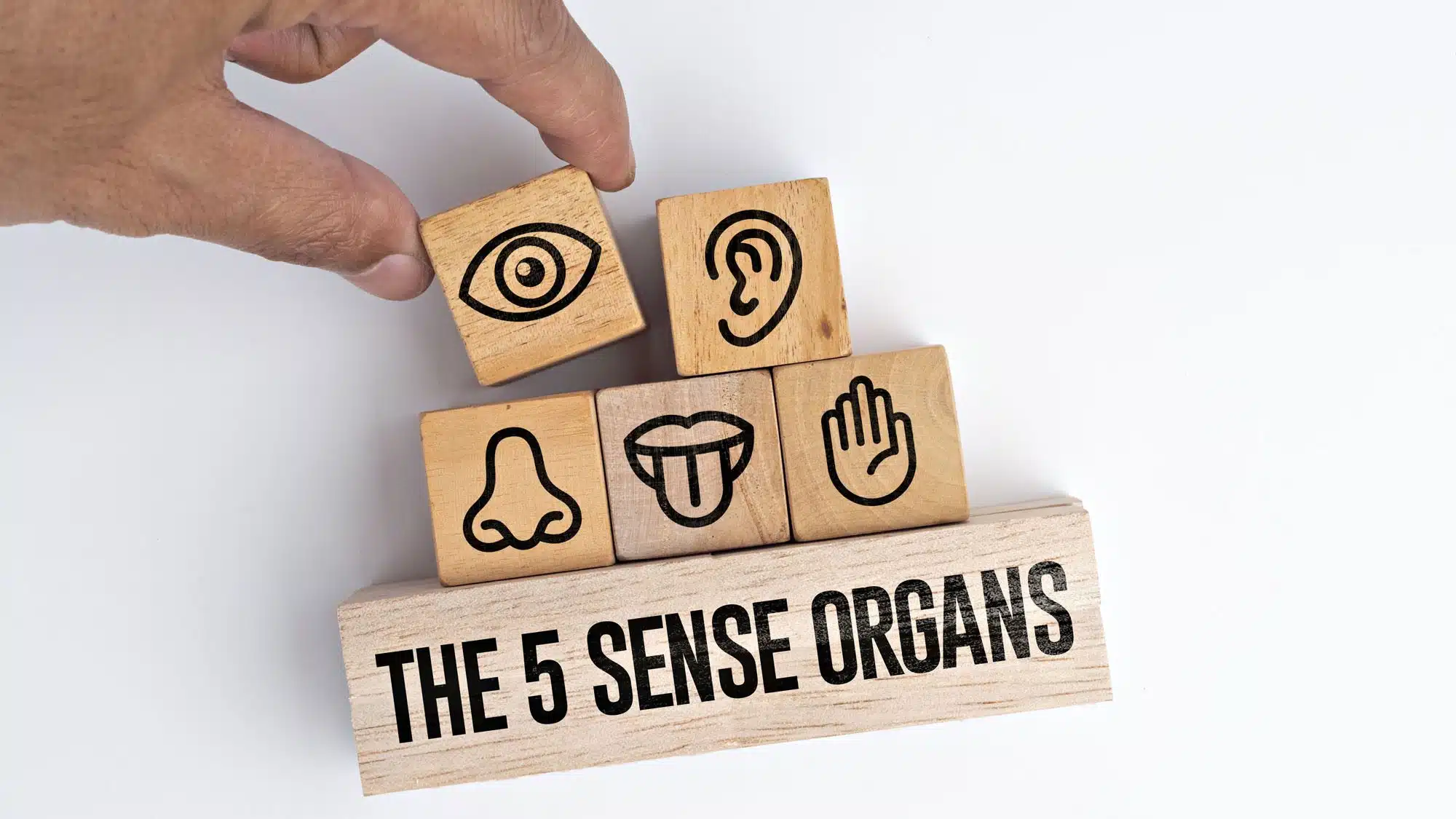 Wooden blocks illustrating the five sense organs: eye, ear, nose, tongue, and hand