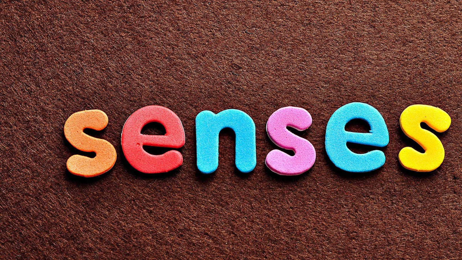 Colourful letters spelling 'senses' on textured brown background
