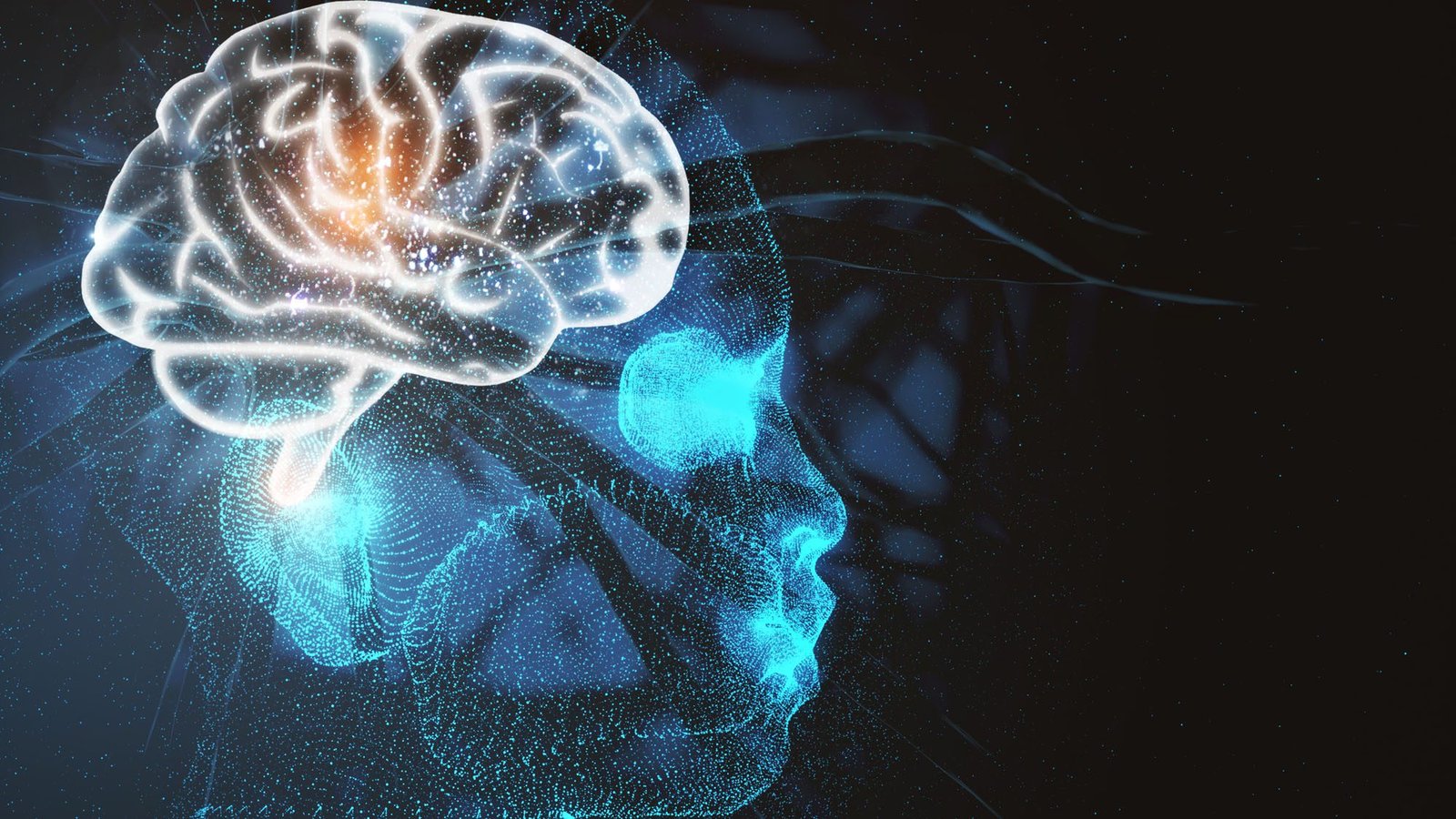 Digital human silhouette with a glowing brain, symbolizing technology and neural networks