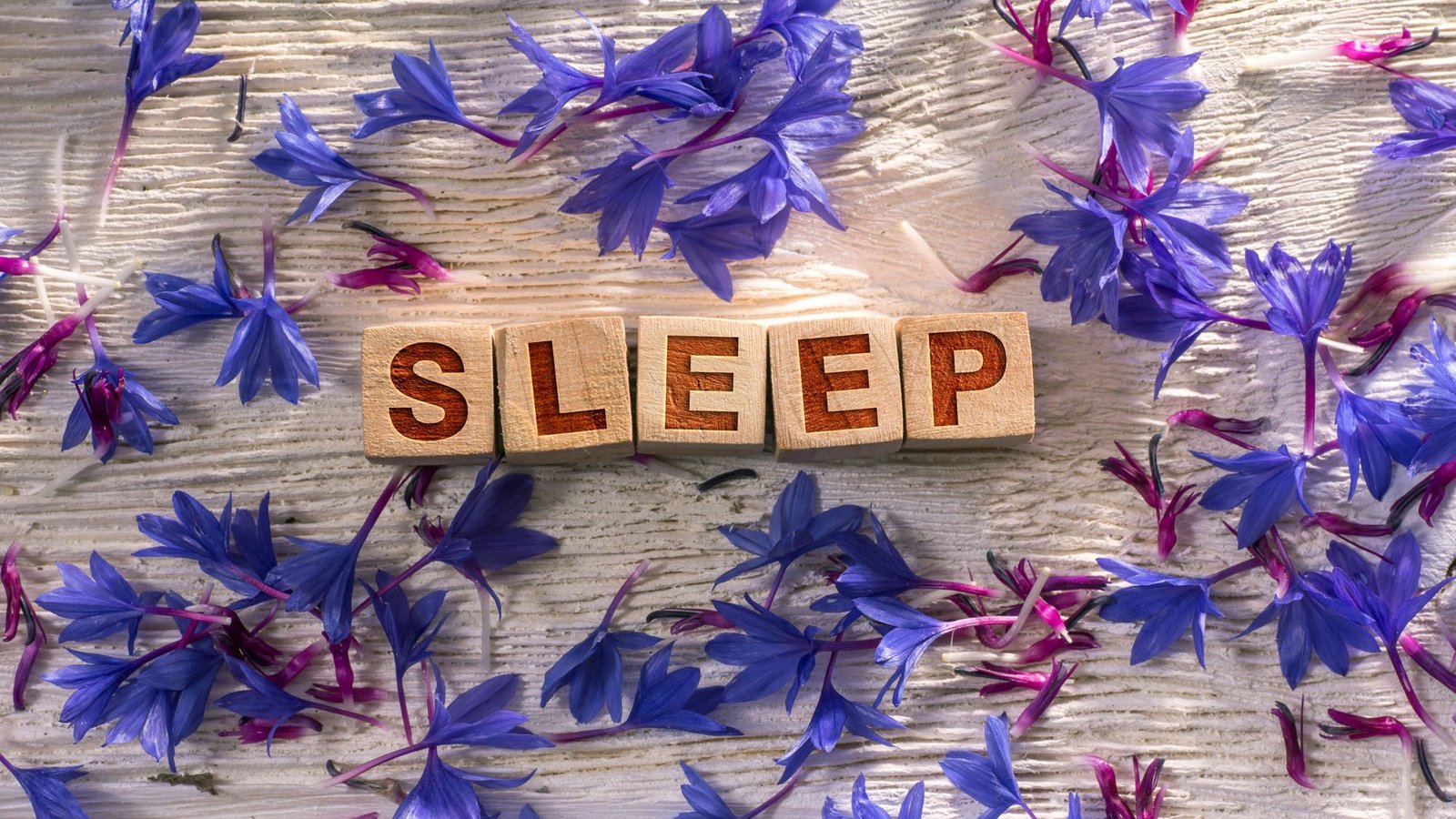 Sleep spelled with wooden blocks surrounded by purple flowers