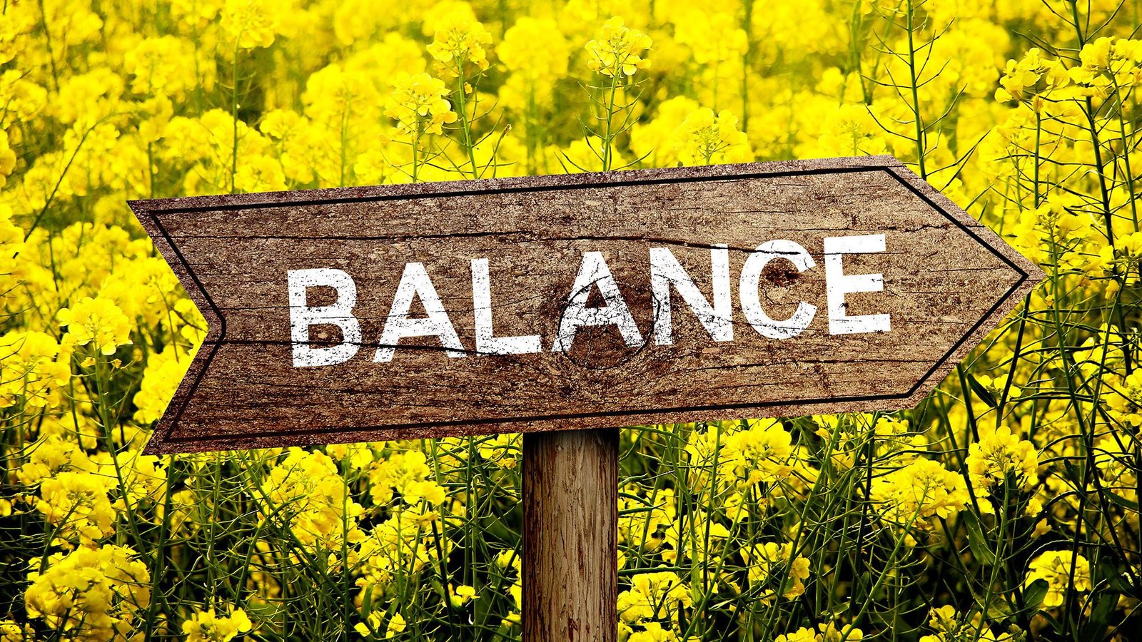 Wooden sign with 'BALANCE' in yellow flower field