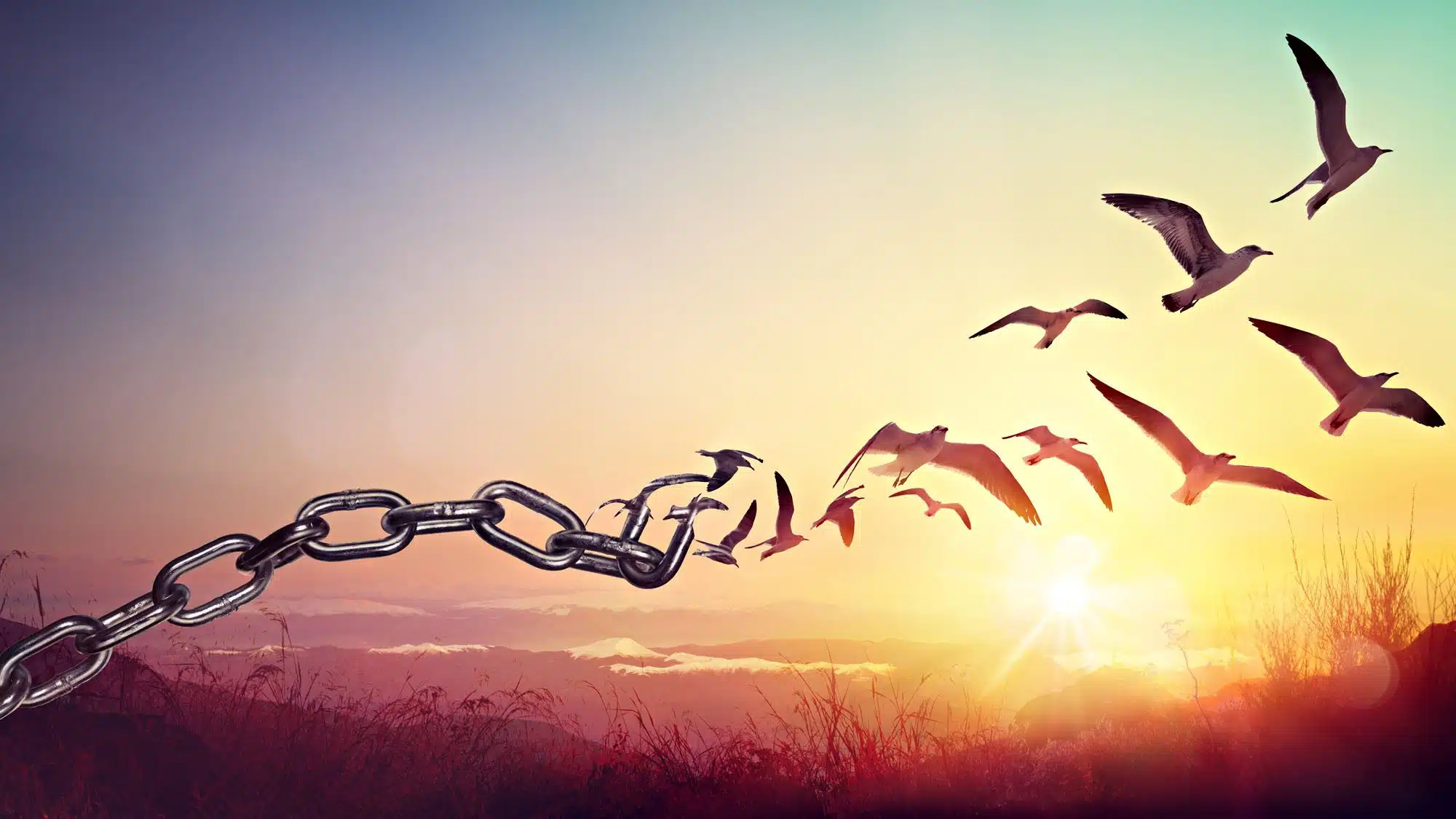 Breaking chain links with birds flying at sunrise symbolizing freedom