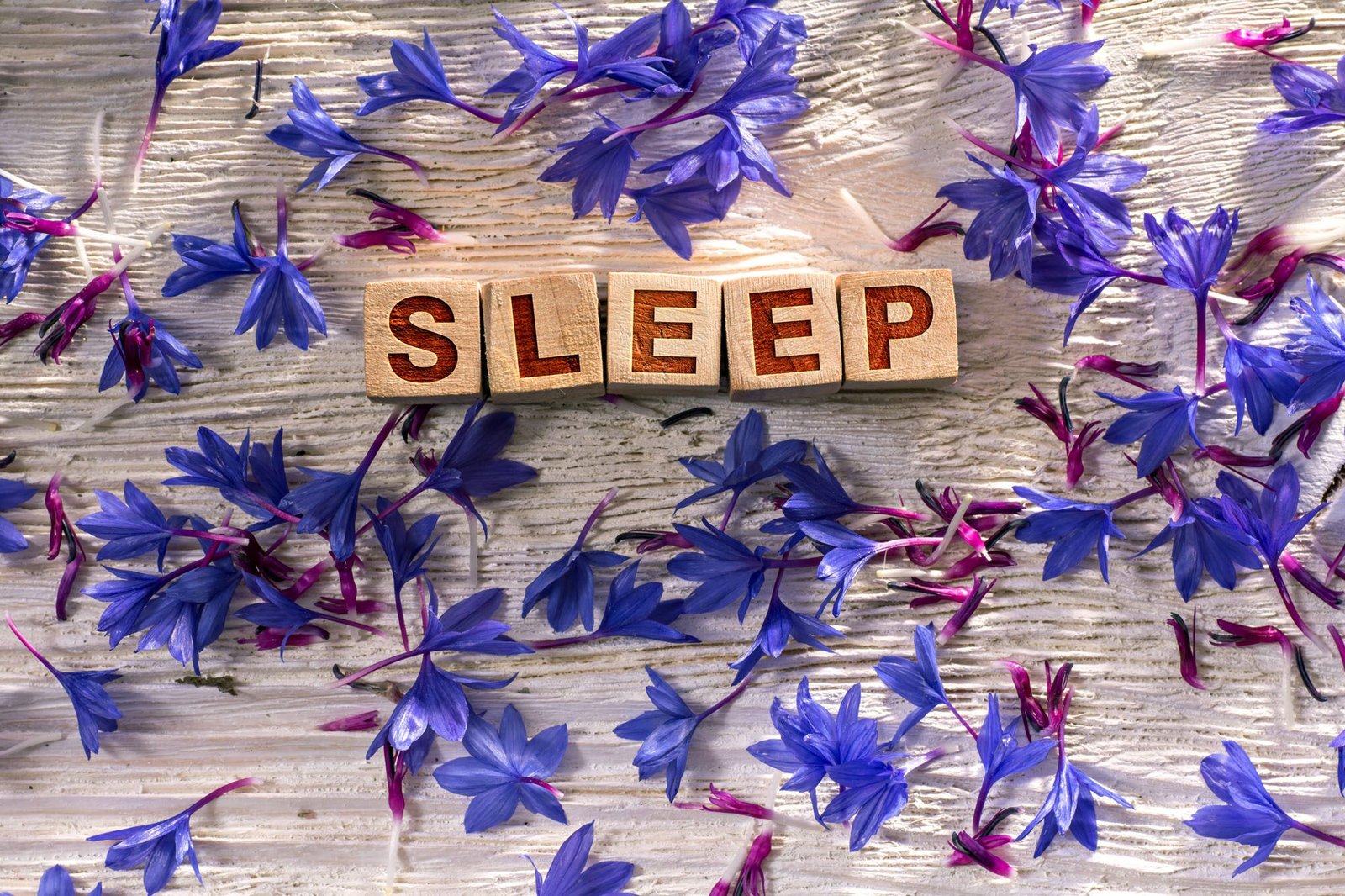 Wooden blocks spelling 'SLEEP' surrounded by purple flowers on textured background