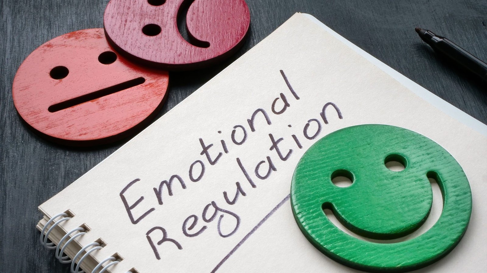 Notebook with 'Emotional Regulation' beside happy and sad face icons