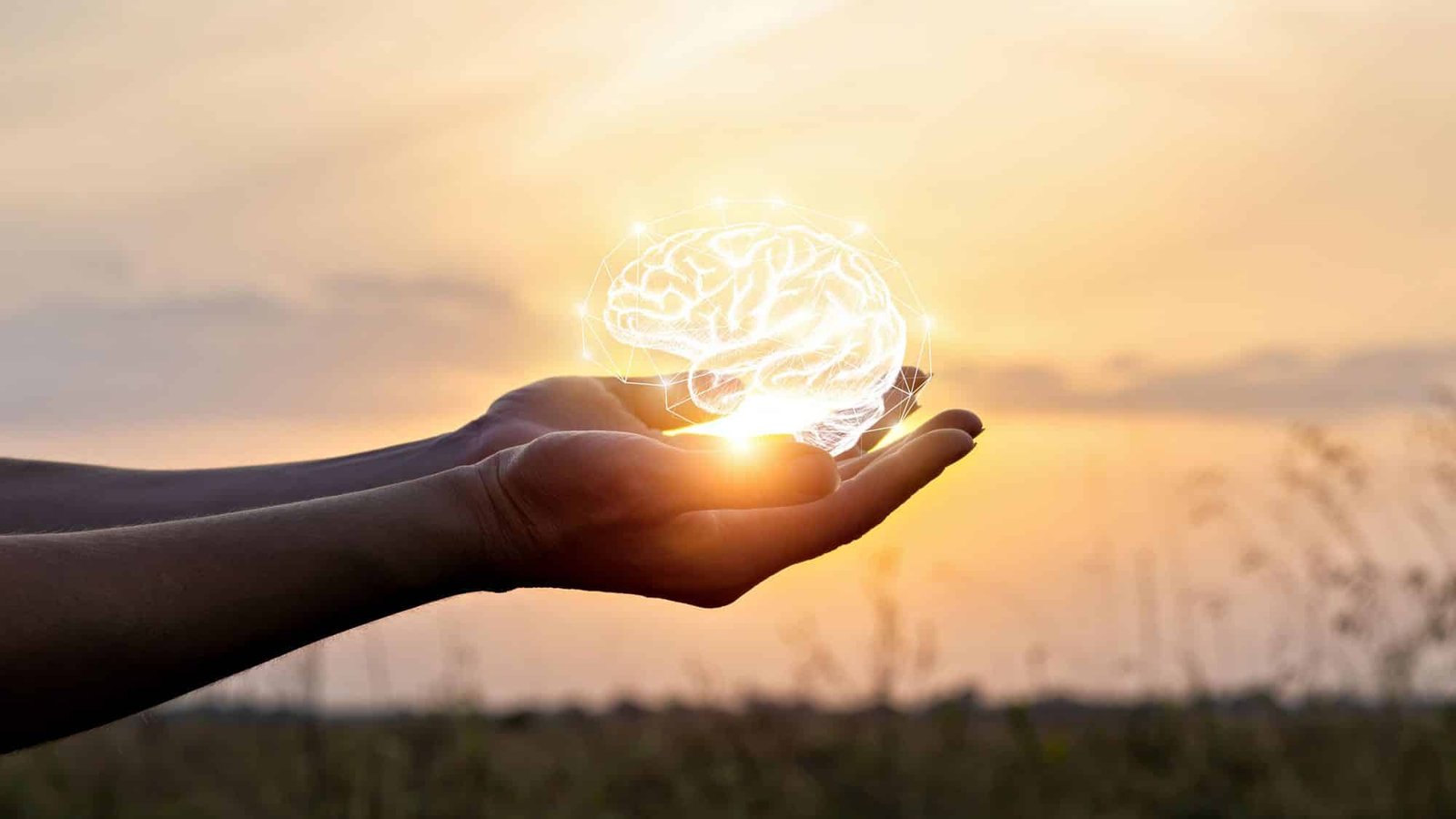 Hands holding a glowing brain symbol at sunset, representing mental health
